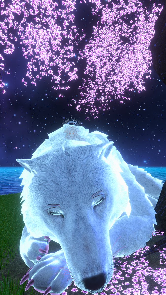 tetra_moon's tweet photo. ワールド　桜月悠庭
作者様　　やはりヤッヒ

とっても大きな満月と夜桜が綺麗なチルワールド
寝ている大きな狼と一緒に島でゆっくりできる
ブランコに乗ったり、ピアノを演奏したり、狼や桜に登ったりと色んな遊び方ができるので試してみよう
#VRChat_world紹介 #VRChat https://t.co/nvt8Getpg7