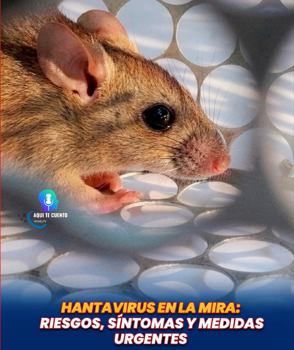 IsraelG.24.05.90 tweet media