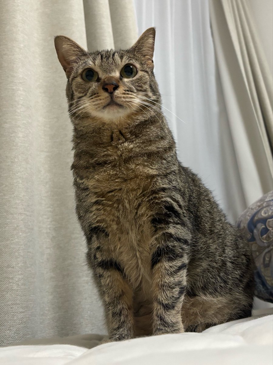 かわいいんだけどちょっとゴワゴワしてるんだよな〜フワゴワ。実家の