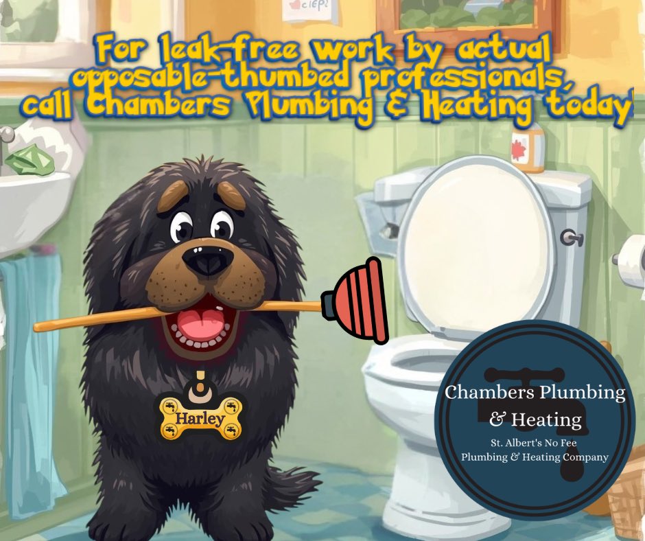 CPHEdmonton's tweet photo. Hi! I’m Harley! I may look qualified—I drink from toilets, inspect every shower, &amp; shed enough fur to clog a drain weekly. But trust me, you do NOT want me fixing your plumbing. For leak-free work by actual opposable-thumbed professionals, contact Chambers Plumbing &amp; Heating! https://t.co/Gqtun4sbBc
