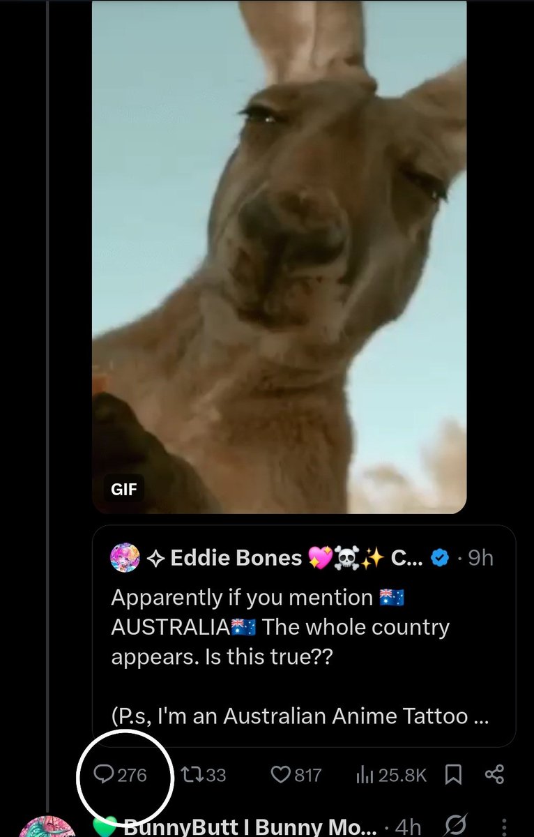 💚 BunnyButt I VT 🇦🇺 🐰 💚 tweet media