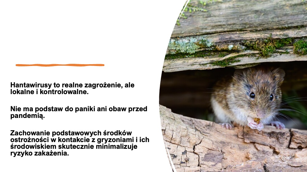 Agnieszka Szuster-Ciesielska tweet media