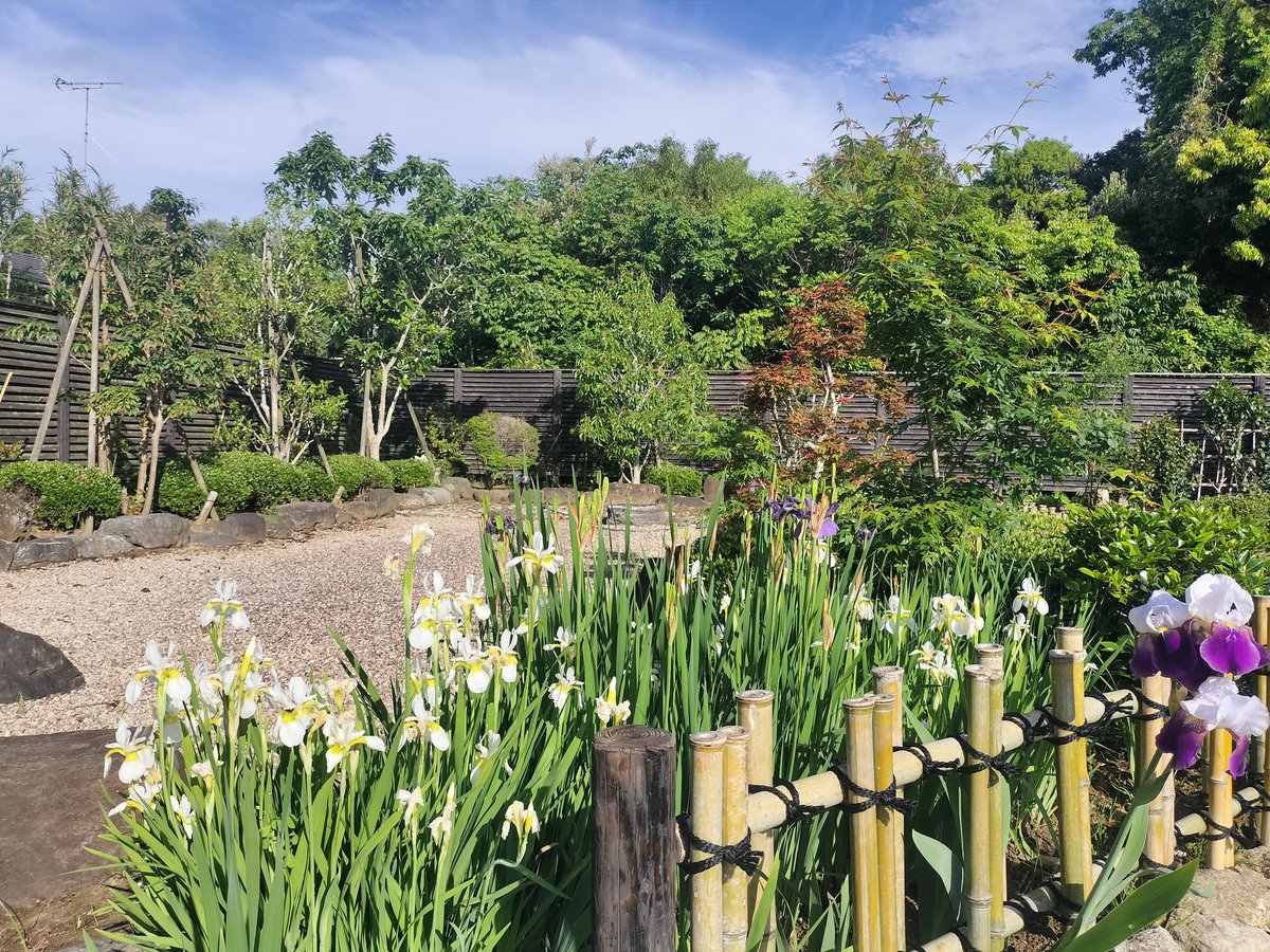 chicouin's tweet photo. 悪を滅するを功といい、善を生ずるを徳というなり 

日蓮聖��のお言葉 

「功」とは、自分の中にある「悪」を滅すること
煩悩をコントロールすること

「徳」とは、自分の中に「善」を生じさせること
 人への思いやり、智慧を育てること

功徳とは、自分の振る舞いによって得られるいのちの「輝き」 https://t.co/zCndGPUvTL