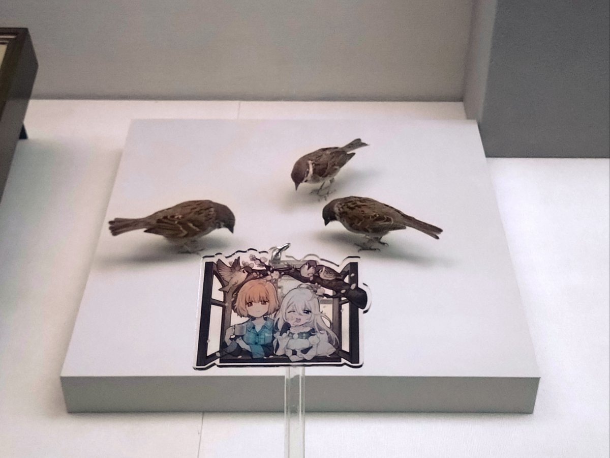 珊瑚 tweet media