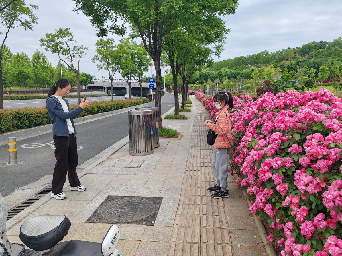 toby evans tweet media