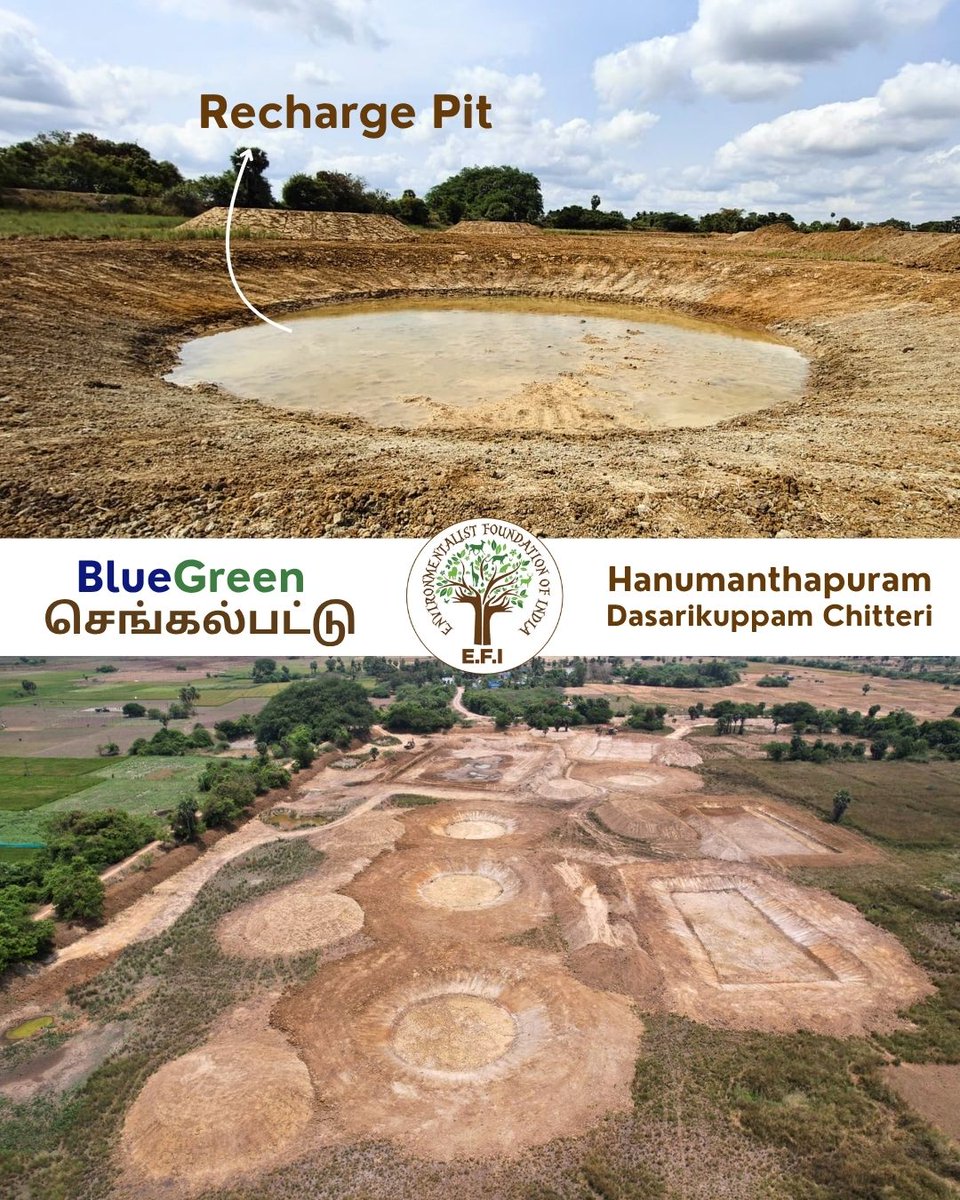 Environmentalist Foundation of India tweet media