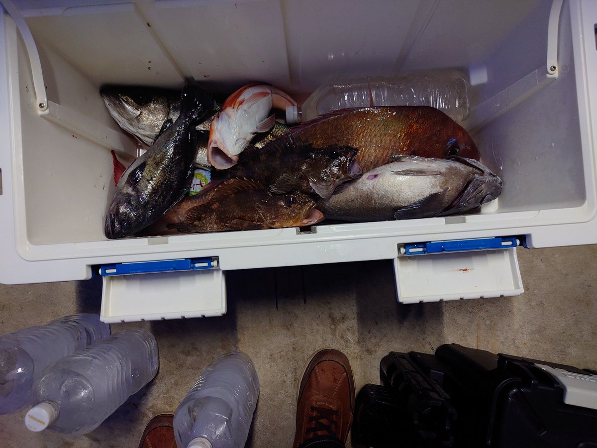 ヘソクリで資産運用ヒロ tweet media