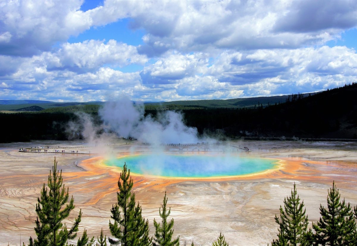 earthcurated's tweet photo. Proof that humans and nature can win together.

Yellowstone to Yukon: vast wild corridor where Indigenous knowledge, science, and conservation connect 1.3 million km². Grizzlies roam. Bison return. Wildlife crossings work. Protected lands surging. Hope in action. https://t.co/fchGUhqhks