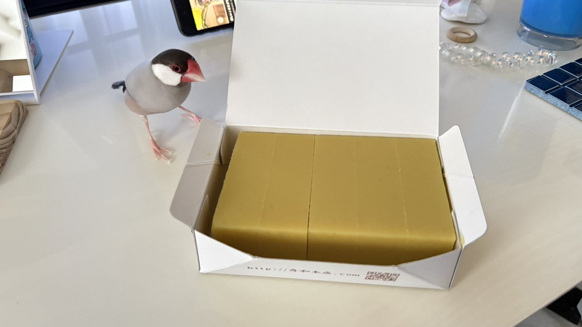 ぶんちん🐥 tweet media
