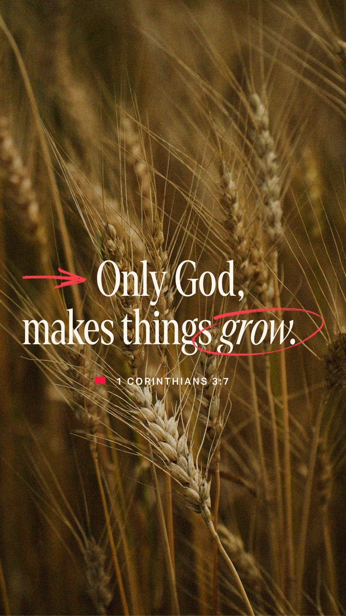 bible.com/verse-of-the-d…