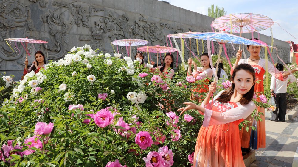 DiscoverGansu tweet media