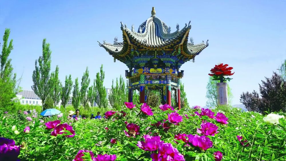 DiscoverGansu tweet media