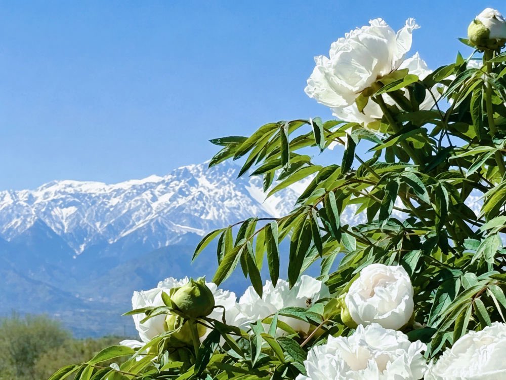 DiscoverGansu tweet media