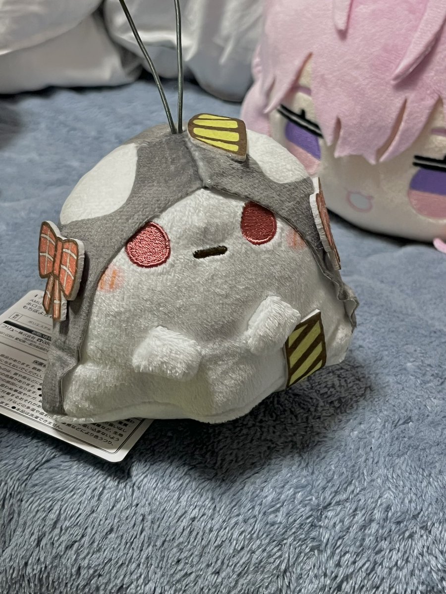 スズメ tweet media