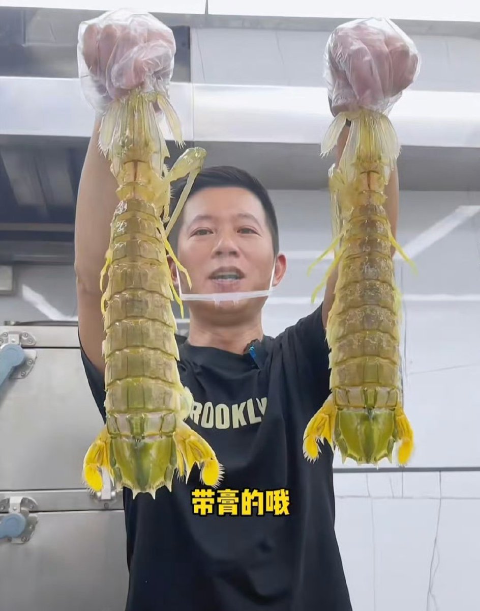 四只这样的皮皮虾，收1000多块钱我觉得也还好吧

举报的那个网友通过网络舆论直接把人家店给干关门了，也间接导致店主病逝，这事做的太绝了吧…… https://t.co/82Ugry054C