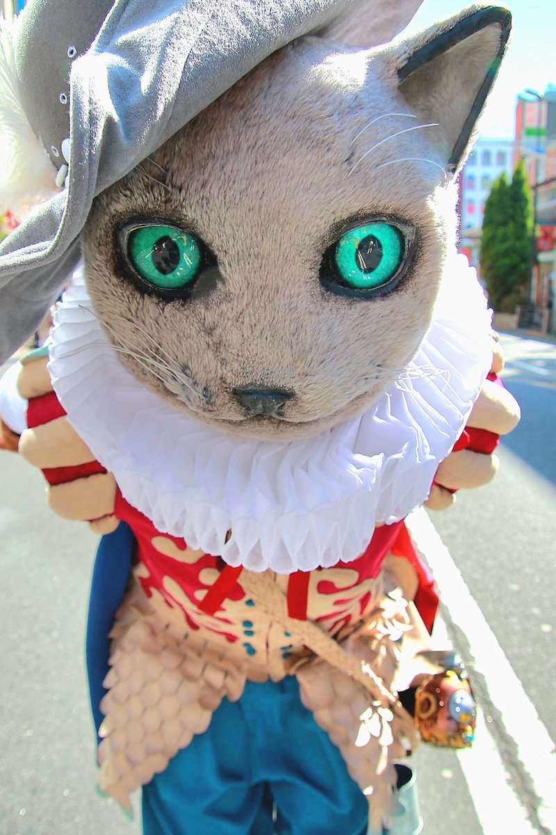 Arthur_of_cat's tweet photo. 亀戸ねこさんぽ🐾の写真📸✨
その4だよ～!✋😸✨

#ねこさんぽ
#エンカメ
#亀戸大道芸
#ロービング
#スタチュー https://t.co/7AwniEIyeO