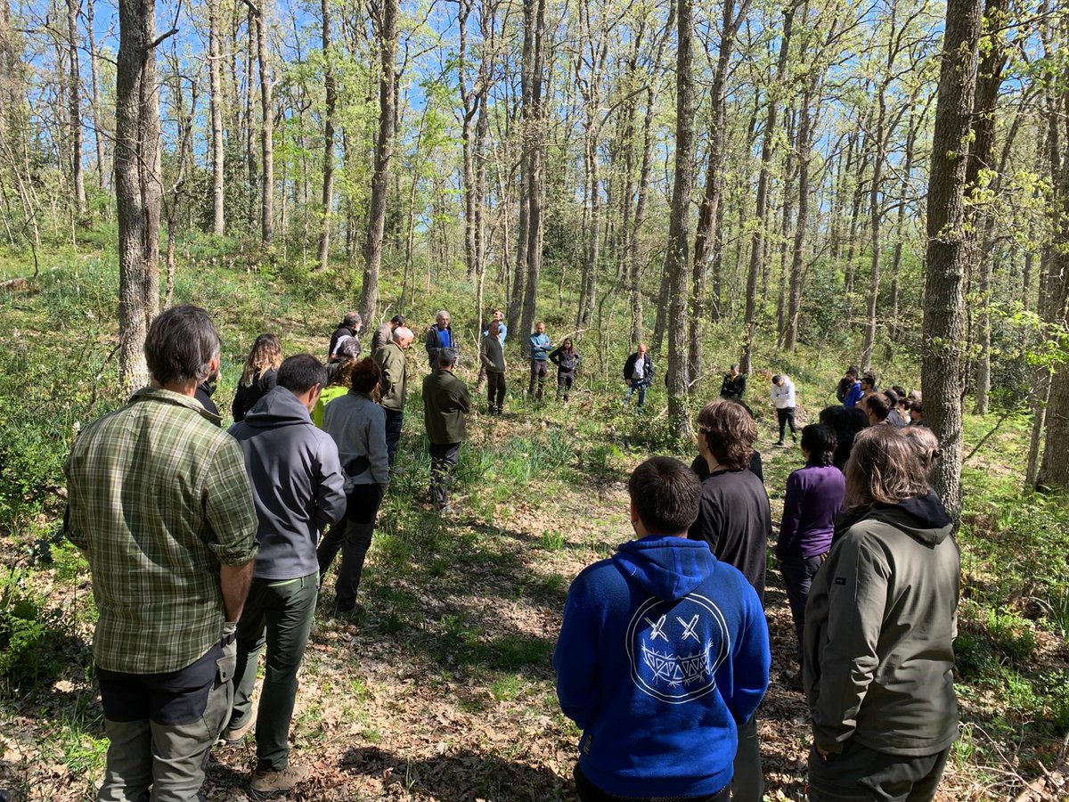 LifeRebollo's tweet photo. El 12º #RebolloLab reunió ayer en Izki (Álava) a profesionales, gestores y técnicos forestales para seguir impulsando la gestión sostenible de los #rebollares. Visitamos el marojal de Izki, el bosque de rebollo más grande de Álava, cerca de 46 asistentes. #LifeREB #Selvicultura https://t.co/YE0AyIEvUy