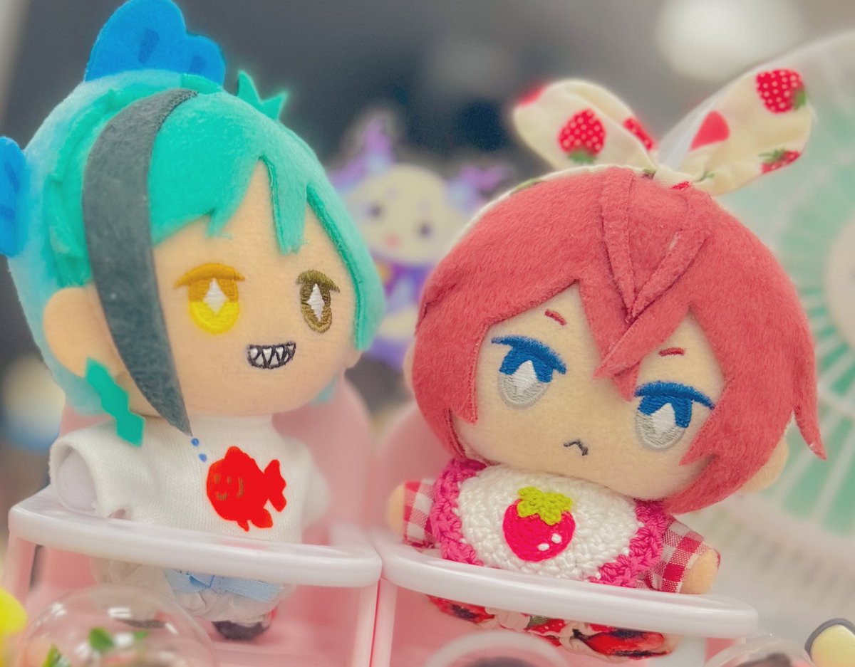 本日の同伴出勤ぬい🍼
バブリドの右の跳ねっ毛は、完全にバブフロに押し潰されました😂