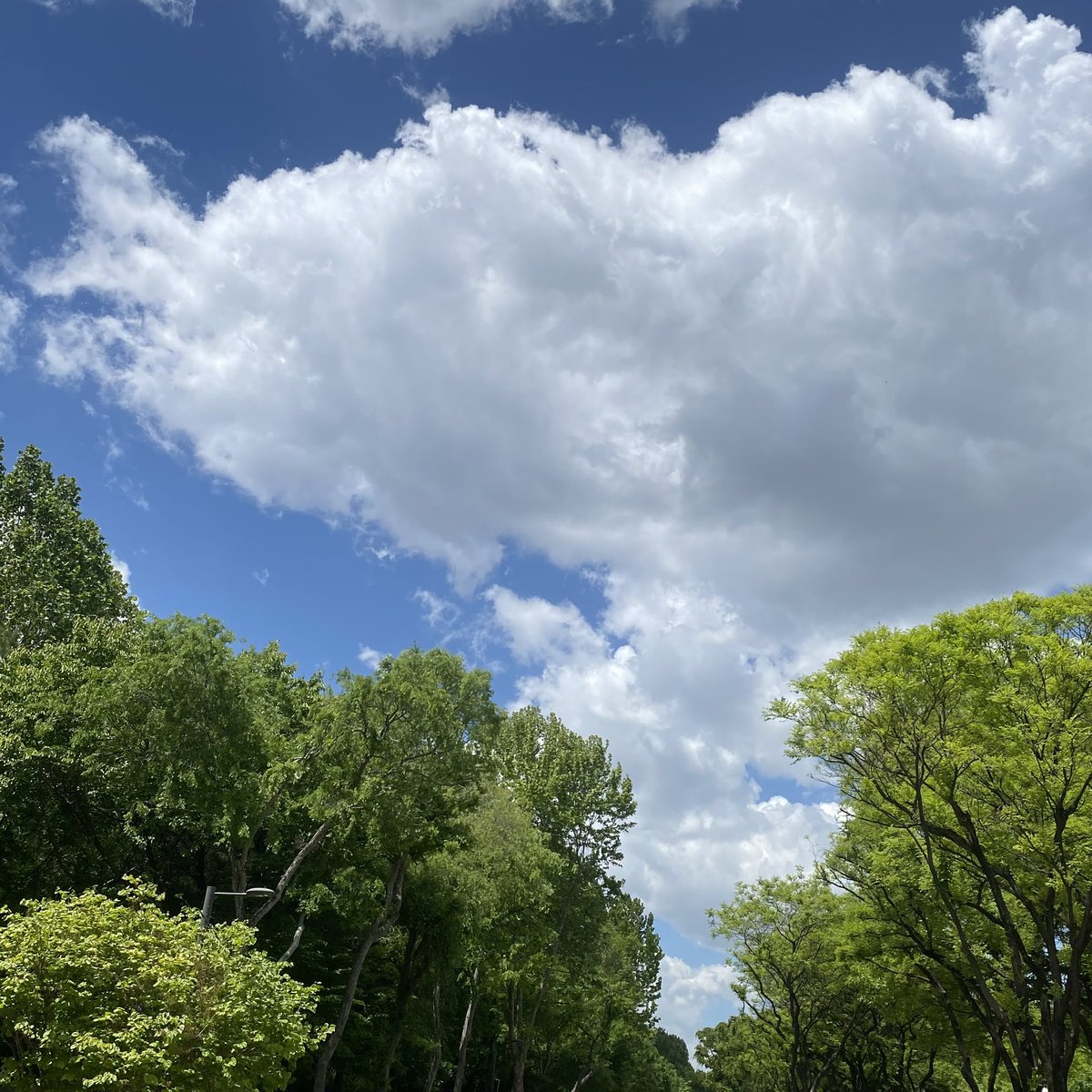 bs pics ☁️ haolong P03 tweet media