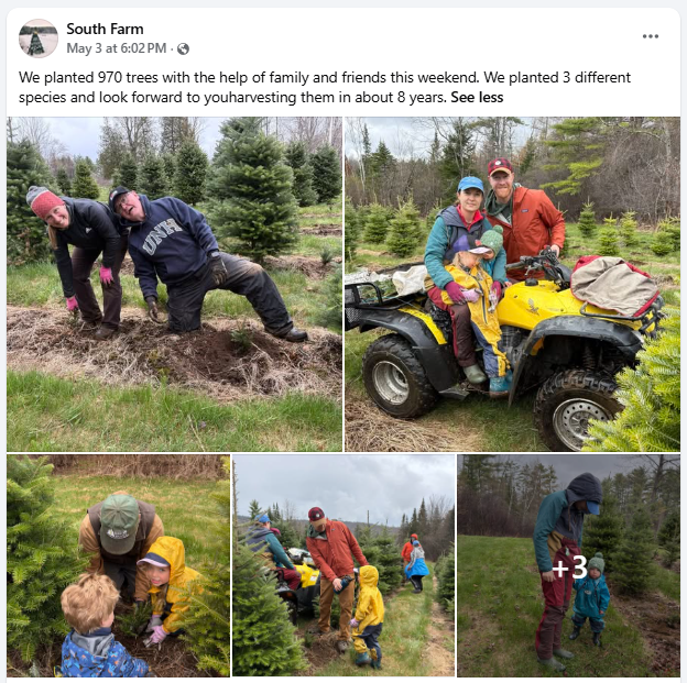 Trees for Troops tweet media