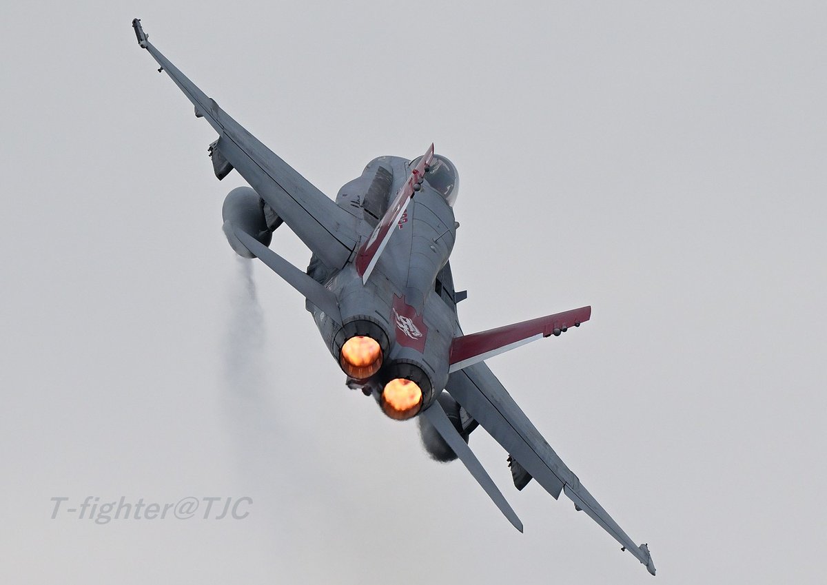 T-fighter tweet media