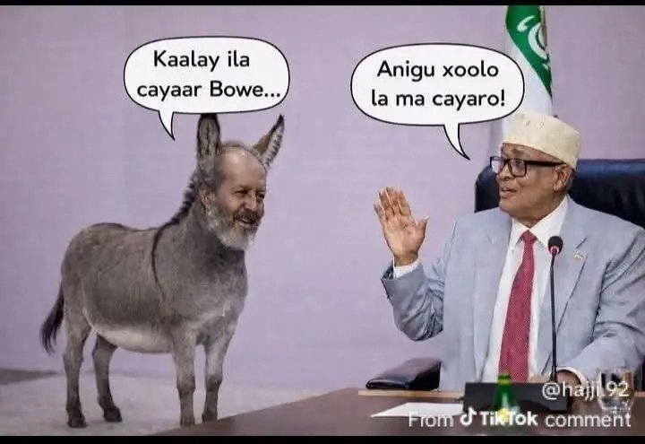 8464Akram91's tweet photo. M.WEYNE CIRRO wxn kula talinaynaa hadaanu nahay dhalain yaradii somaliland in aanu luuqada dagaalka wx aan ahayn kula hadal 
Argagixisada somaliya  maamulka hawiye https://t.co/94GPgKgTDu