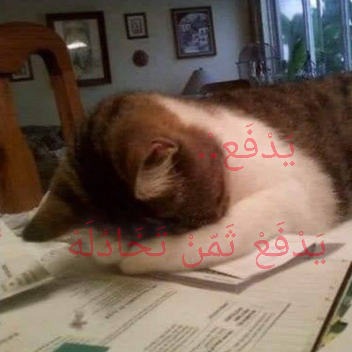 ْ tweet media