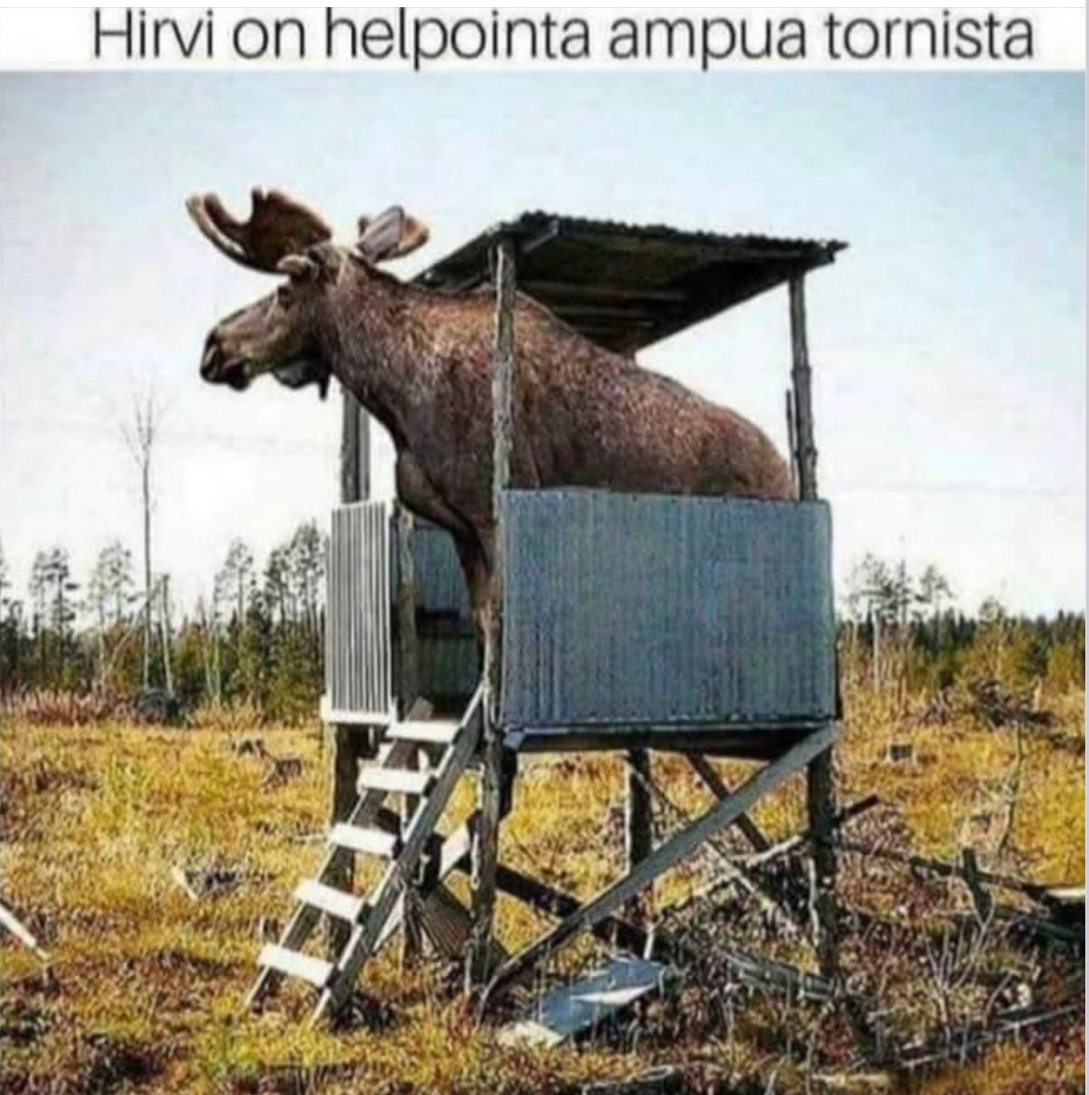 Kimmo Mattila tweet media