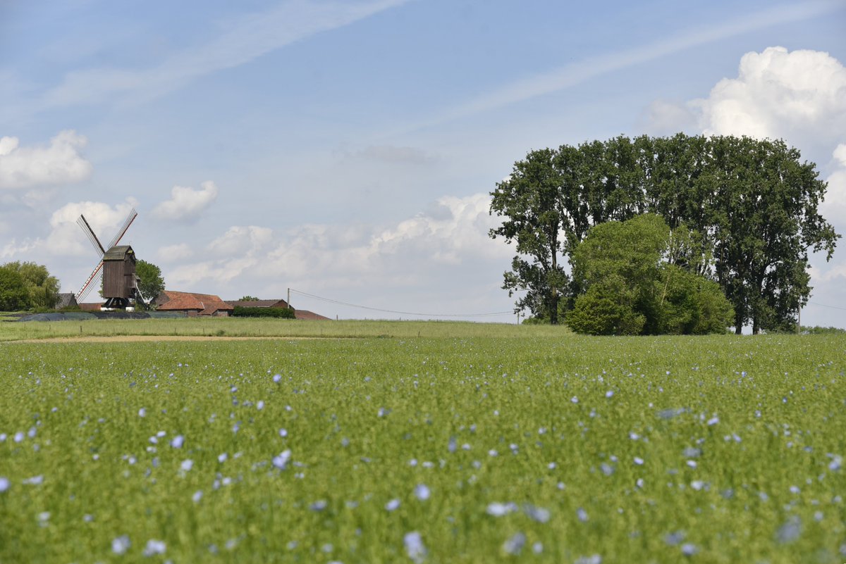 #vrtweer