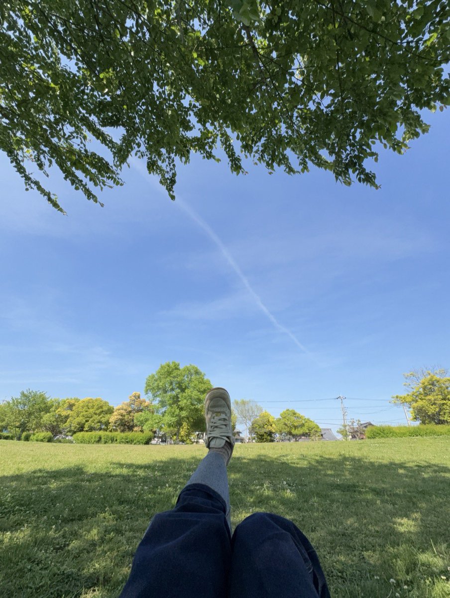 aori__19's tweet photo. 🌳🍃 https://t.co/GZStRLswCH
