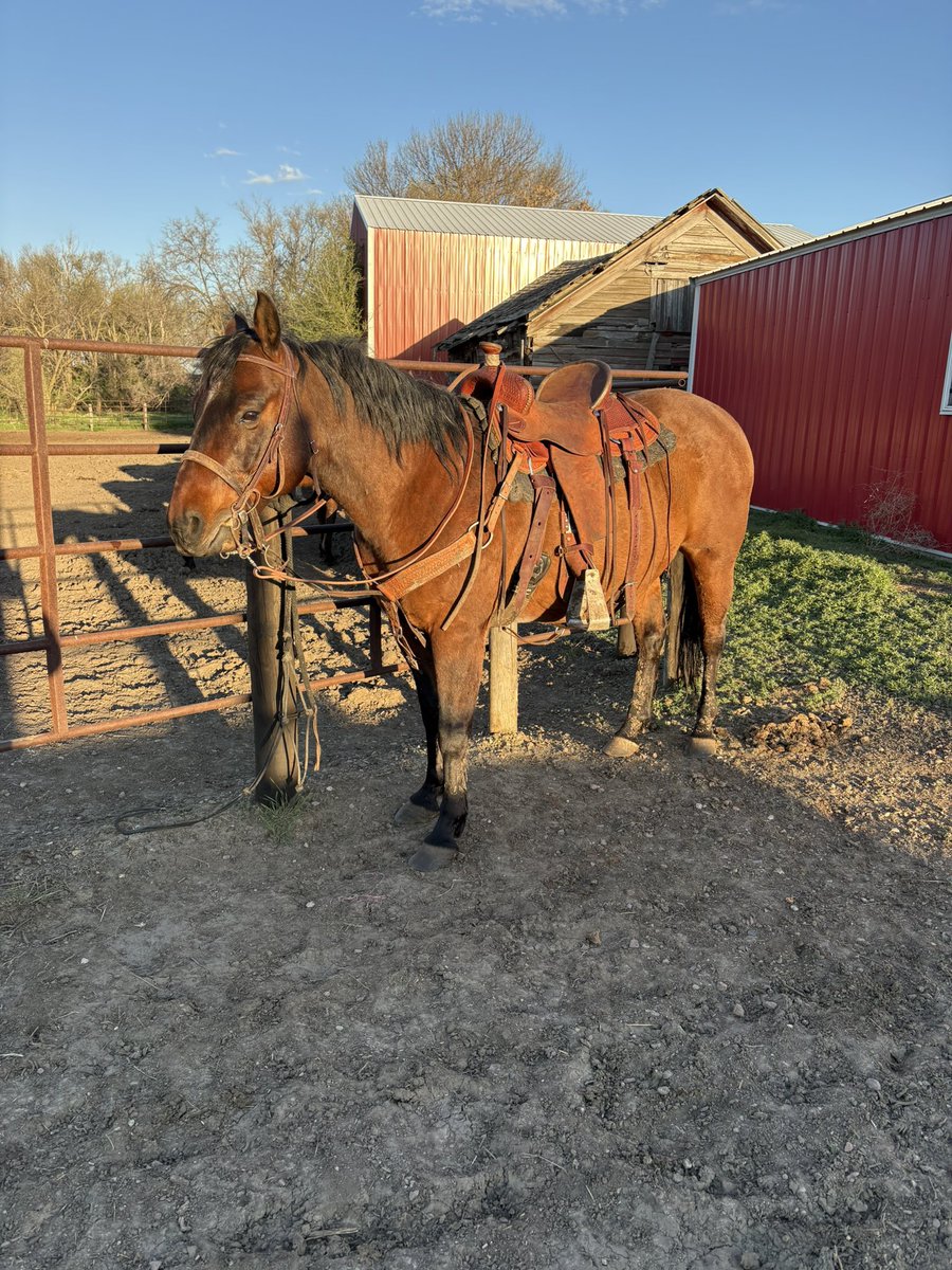 Tales from the Feedyard (Uncensored) tweet media