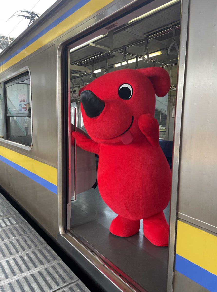チーバくん (@chi_bakun_chiba) / Posts / X