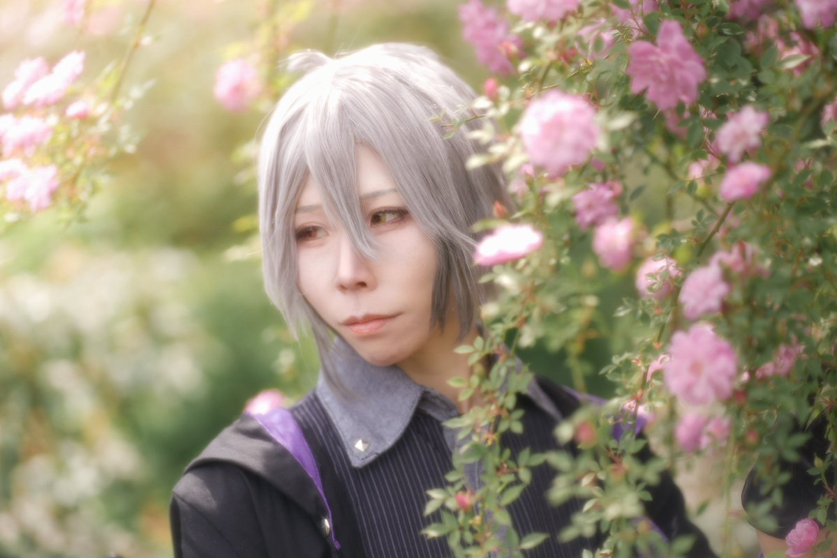 📸氷🌲低浮上 tweet media