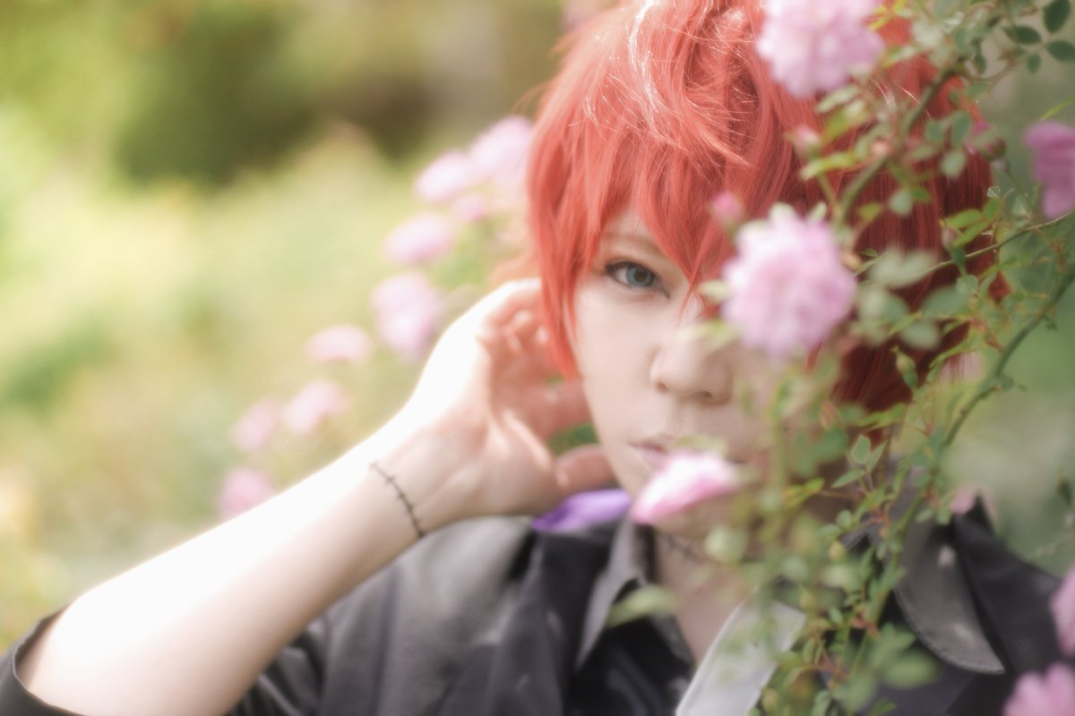 📸氷🌲低浮上 tweet media