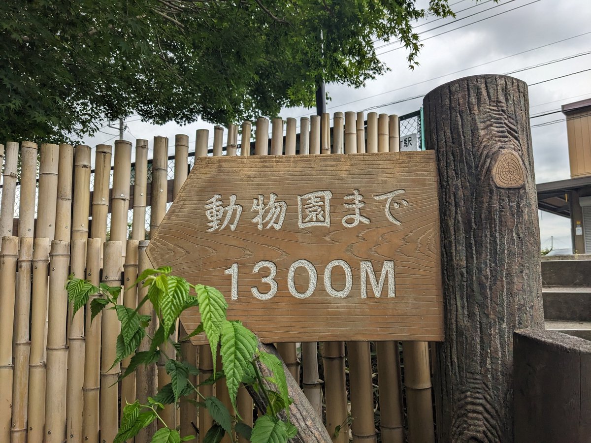 yukomama tweet media