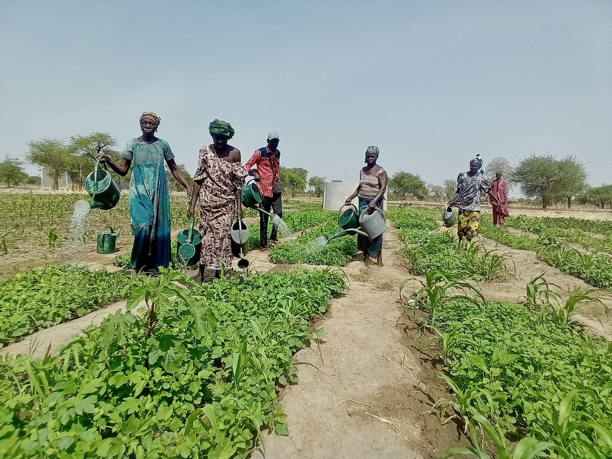 World Vision Chad tweet media