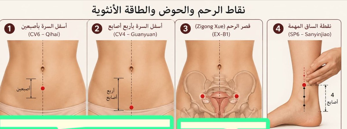 أ. وردة tweet media
