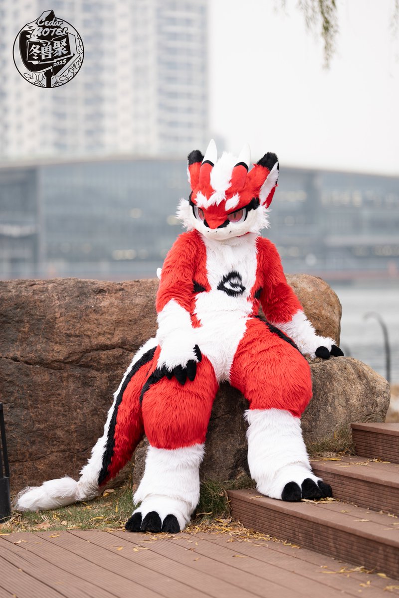 SuperFurryFusion tweet media