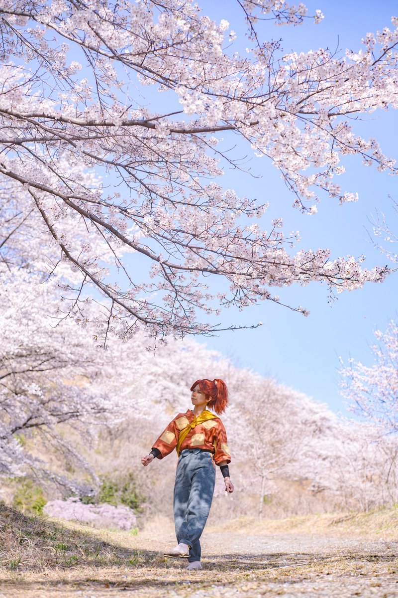 📸氷🌲低浮上 tweet media