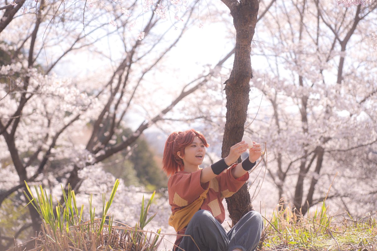 📸氷🌲低浮上 tweet media