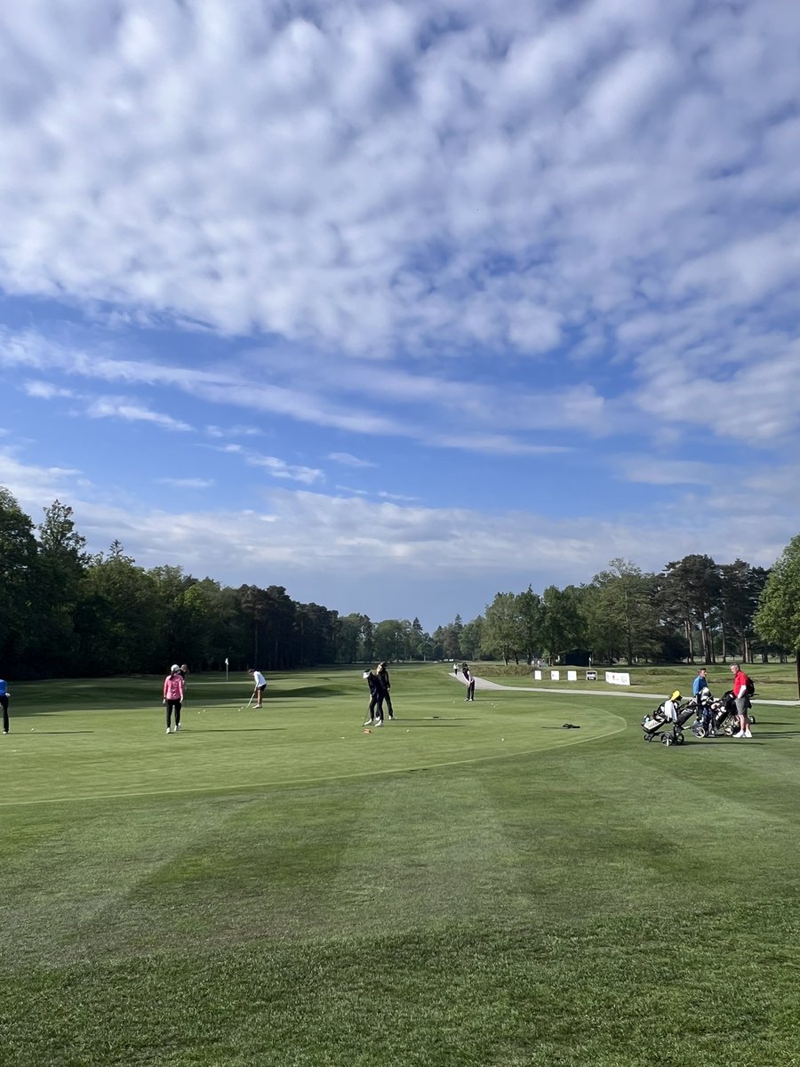 Rose Ladies Golf tweet media