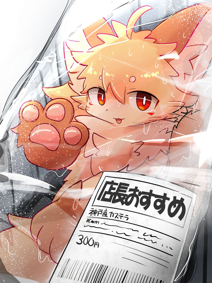 店長おすすめ