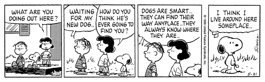 Peanuts Poster tweet media