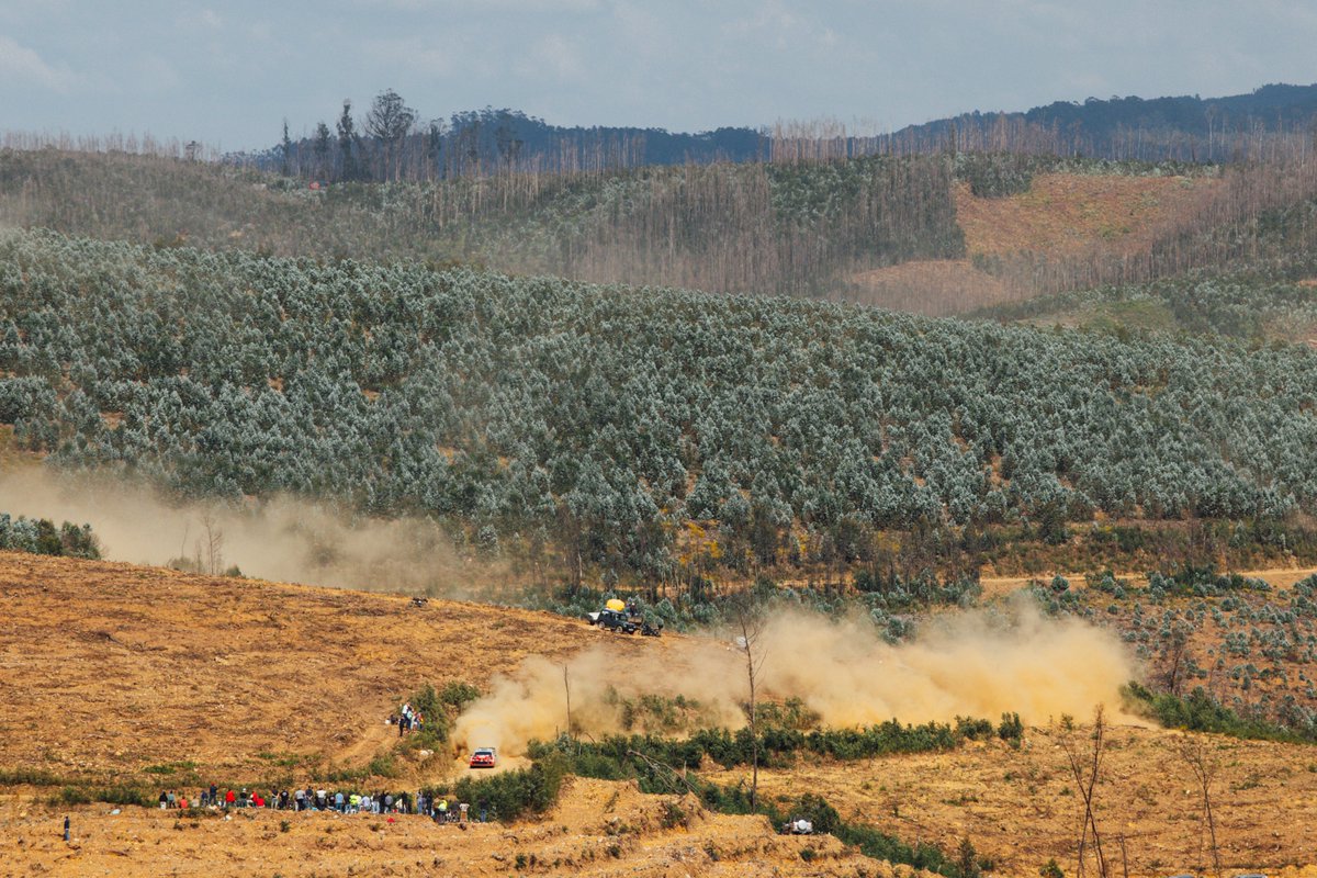 Elfyn Evans tweet media