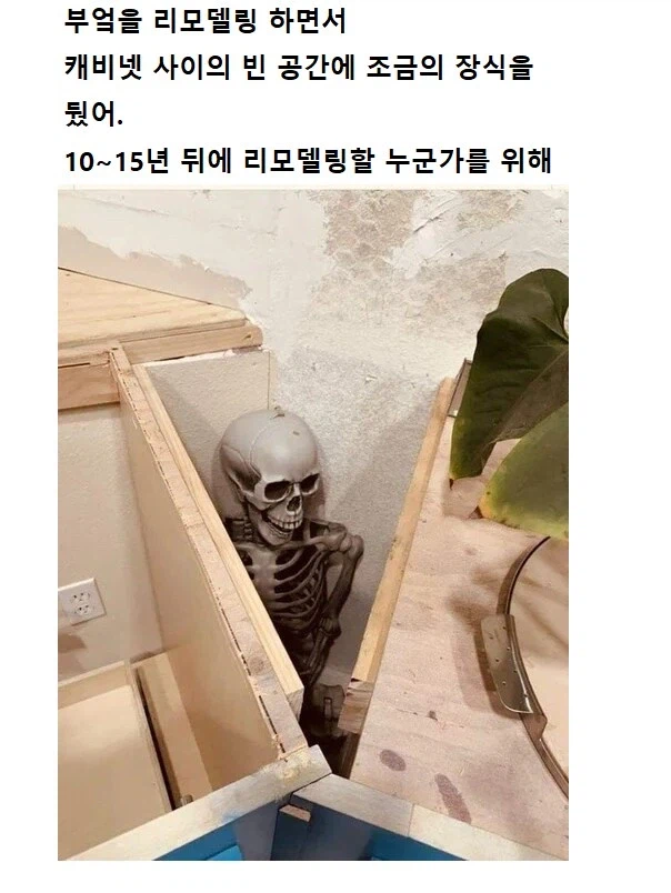 대환장 갤러리 tweet media