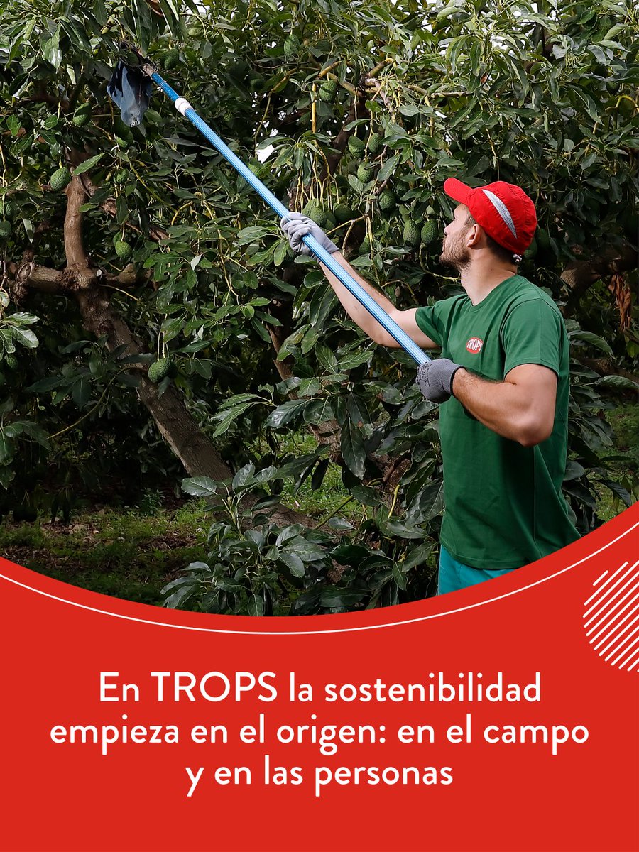 TROPS tweet media