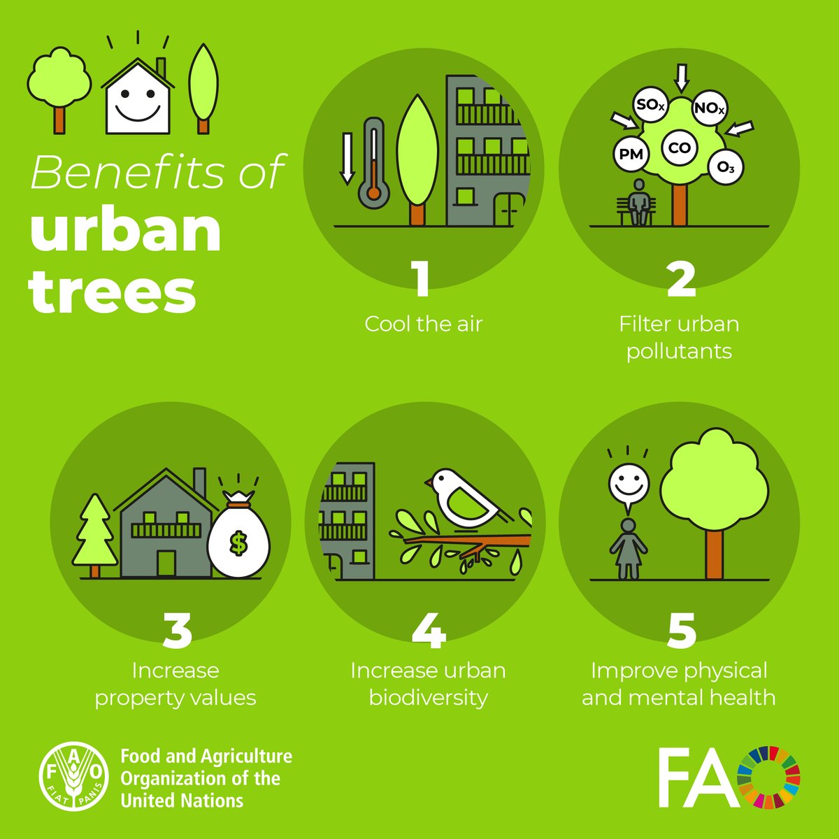 FAO Forestry tweet media