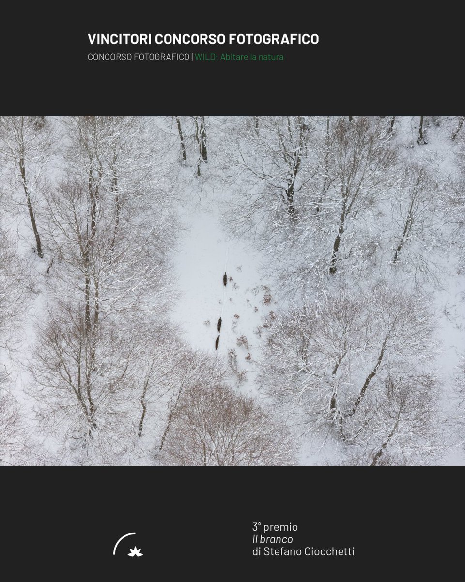 FGrandParadis's tweet photo. 🌿 La 20ma edizione del Concorso Fotografico di Fondation Grand Paradis “Wild - Abitare la Natura” è giunta al termine e la Giuria ne ha decretato i 3 vincitori e gli scatti accreditati tra i finalisti📷

Vedi tutti gli scatti su https://t.co/8q0O7lsos3
#Concorsofotografico #Wild https://t.co/2HVSGgIMXC