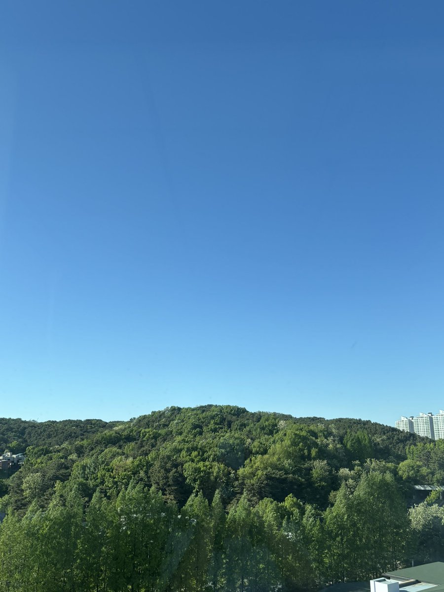 지교 tweet media