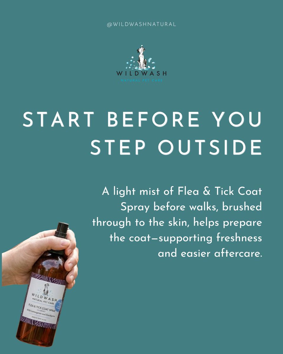WildWash's tweet photo. 🐾🌿 Flea Season Survival ✨

Discover gentle, natural ways to keep your dog’s coat fresh, comfortable, and adventure-ready all season long 💚

https://t.co/sHzL8M17Ed https://t.co/WSN56DaPti
